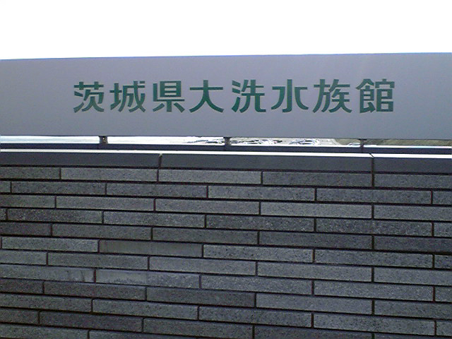 画像の説明