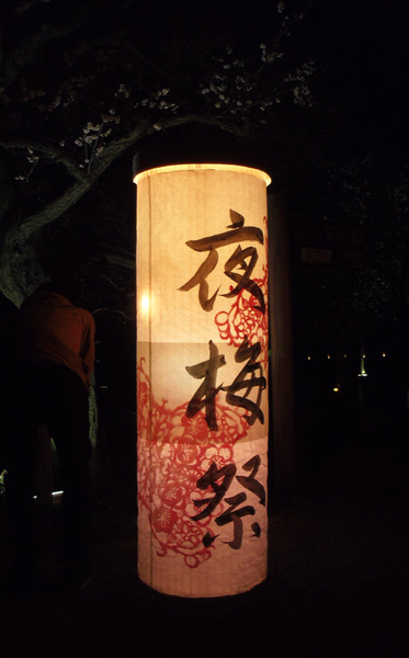 唯一キレイに撮れた夜写真